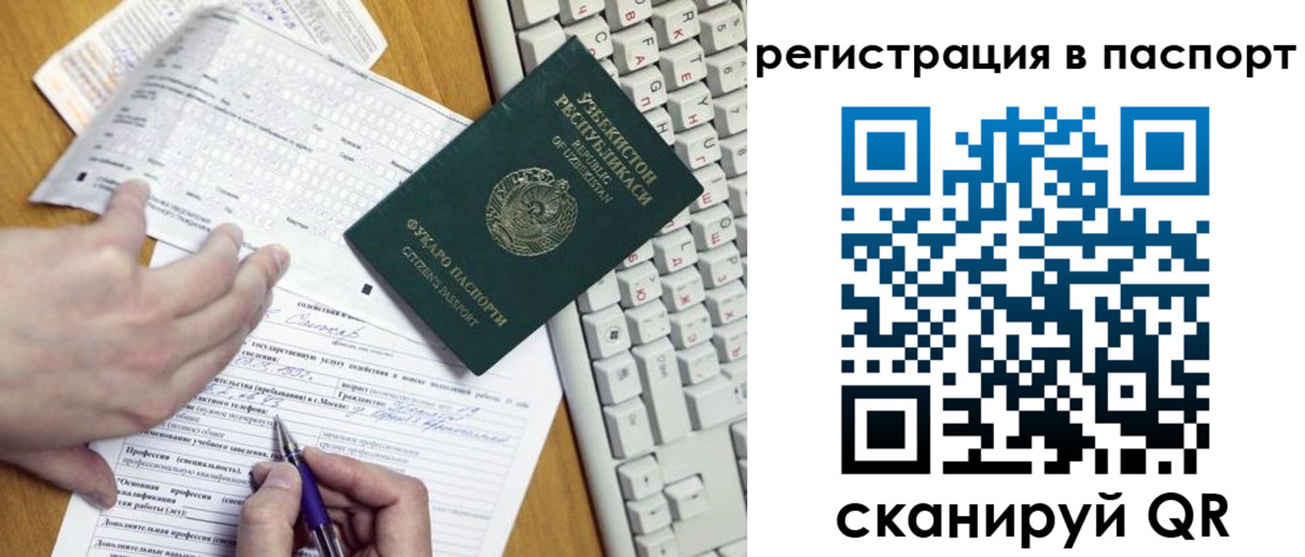 прописка поиск в Лосино-Петровском